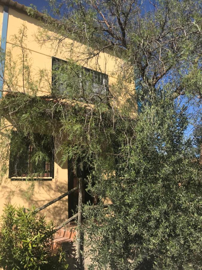 Casa Rural “Las Espinosas” Villanueva del Trabuco Kültér fotó